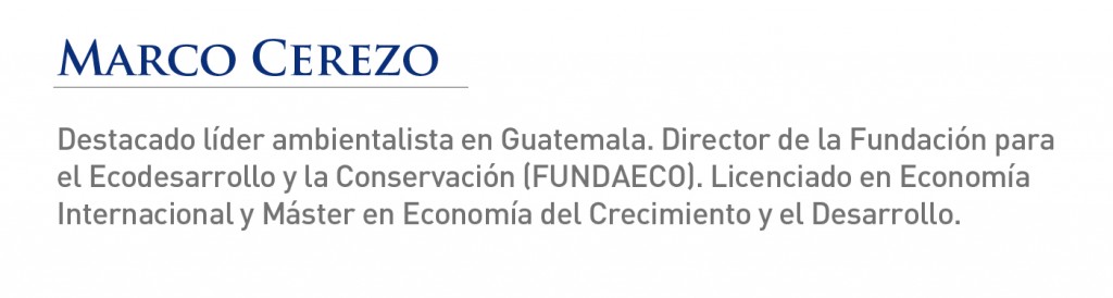 Marco Cerezo-texto-junta directiva-pagina web-2013