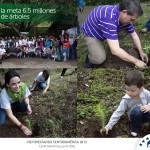 Comunica de Prensa: REFORESTANDO CENTROAMÃ‰RICA