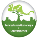 Comunicado de prensa: Reforestando Guatemaya y Centroamerica REFCA 2016