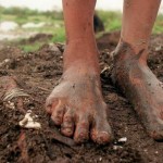El ser humano por encima de las utilidades