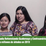 La Onceava CampaÃ±a Reforestando Guatemaya y CentroamÃ©rica busca plantar seis millones  de Ã¡rboles en 2019